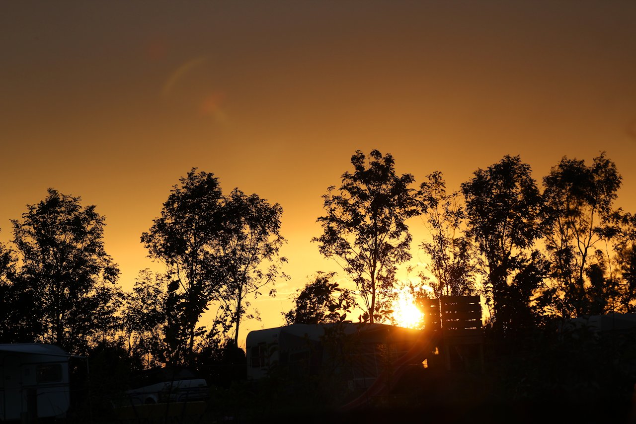 Natuurgebied Plan Tureluur en vogels