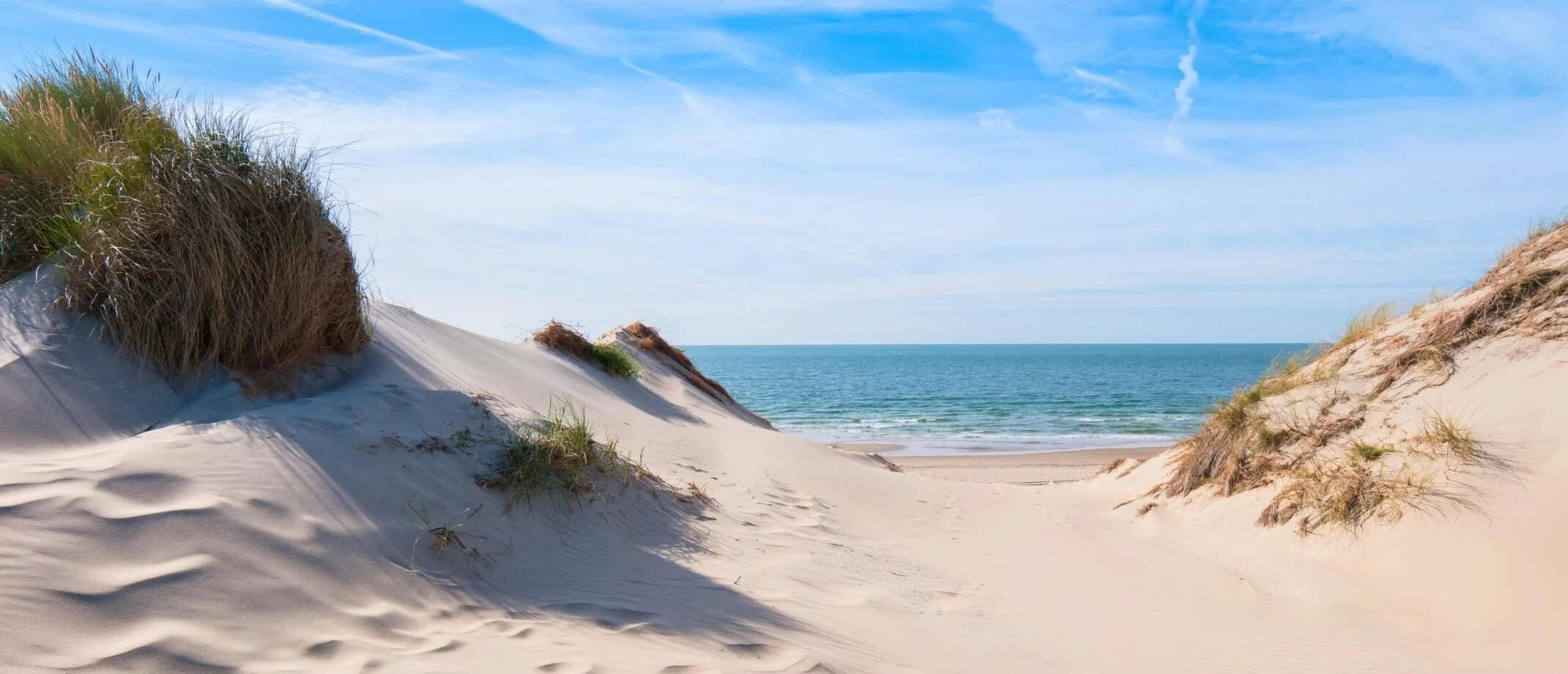 Polderlandschap en duinen in Zeeland